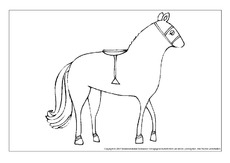 Pferd.pdf